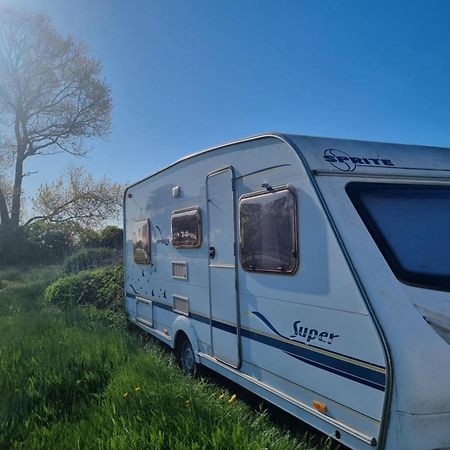 Falsterly Glamping Horbelöv Екстериор снимка